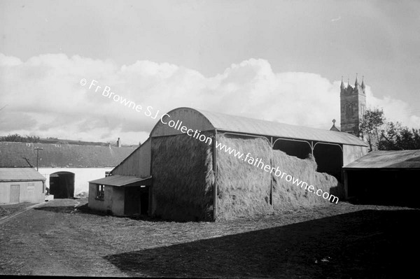 ST MARYS ABBEY (CISTERCIAN NUNS)  FARM YARD  BROTHER LUKE O'CIST AND HIS COLLIES